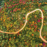 DJI_0092