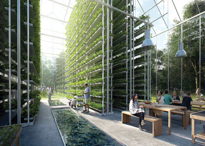 vertical-farming