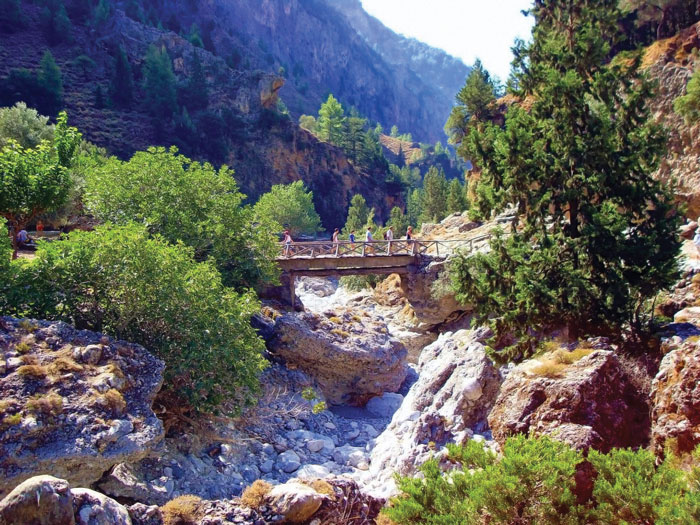 SAMARIA1-(6)