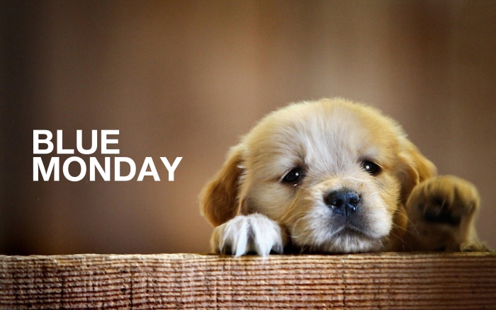 bluemonday1