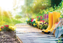 Garden Solutions: Ο… «πράσινος» φίλος κάθε κήπου!
