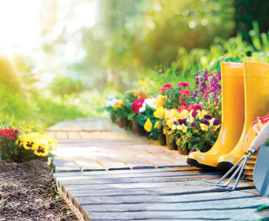 Garden Solutions: Ο… «πράσινος» φίλος κάθε κήπου!