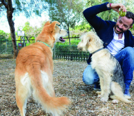 Ένα καλύτερο μέλλον για κάθε ζωάκι!